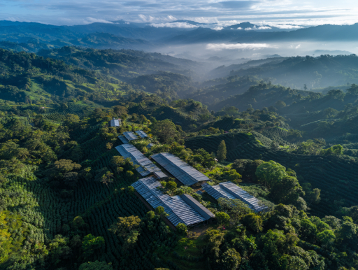 世界初の気候中立認証を取得したフィンカ・エル・プラタニージョ農園|鹿児島コーヒー addCoffee