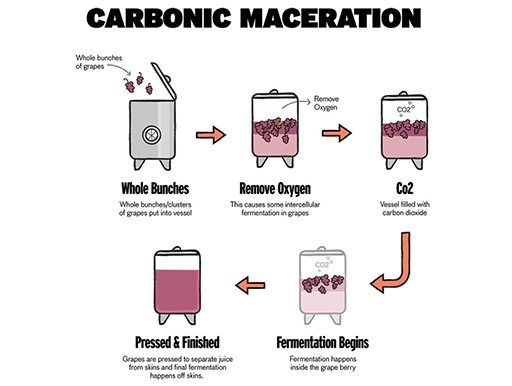 インフューズドコーヒーのCO2注入技術｜鹿児島コーヒー addCoffee