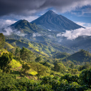 サンマルコスコーヒー – グアテマラの中米最高峰が育む